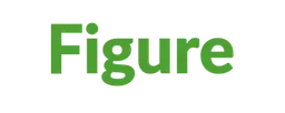 Figure POS logo